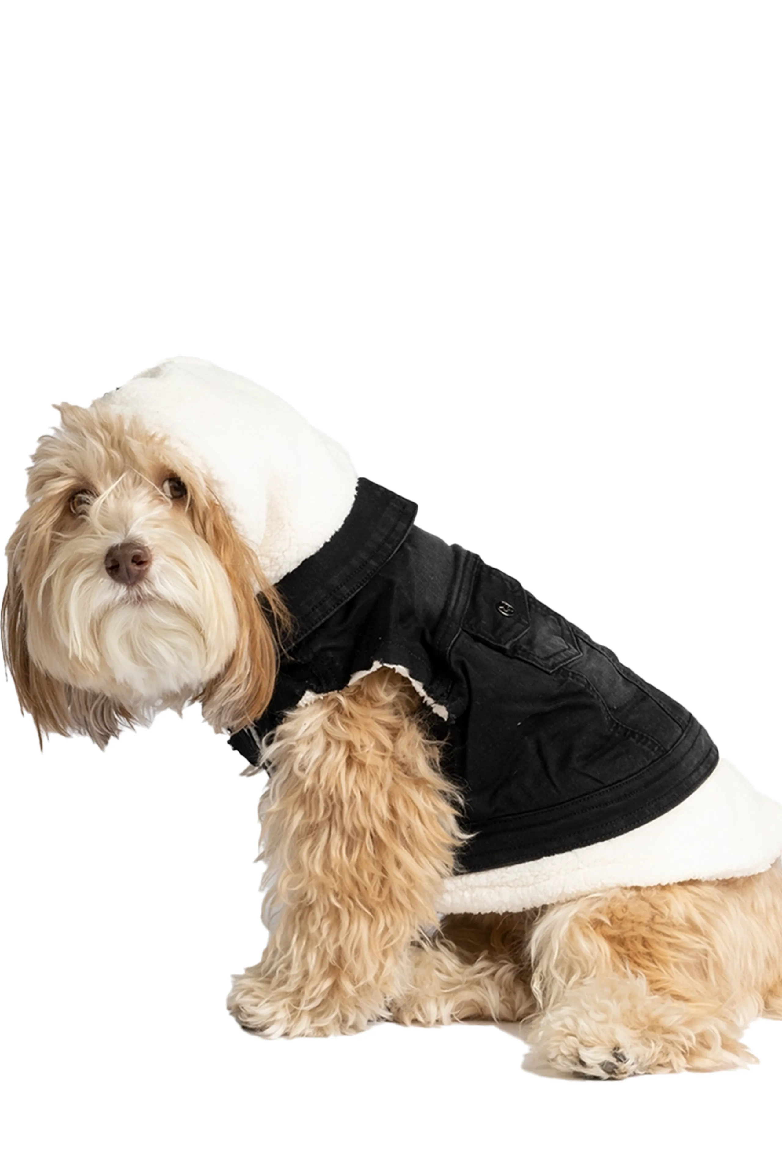 Silver Paw - Justin Denim Dog Jacket in Black
